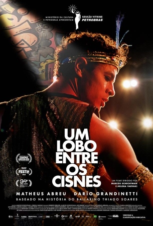 Волк среди лебедей